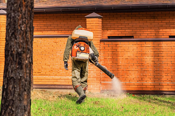 Trusted Mosquito Control service in Batesville, IN - Nex Pest Control